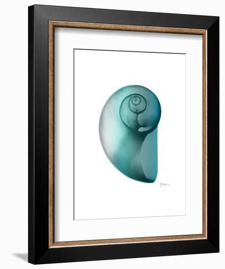 Water Snail 2-Albert Koetsier-Framed Art Print