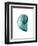 Water Snail 2-Albert Koetsier-Framed Art Print