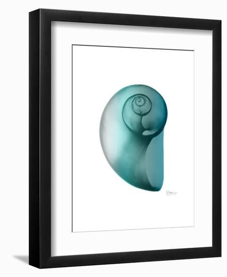 Water Snail 2-Albert Koetsier-Framed Art Print