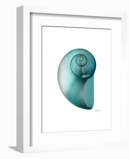 Water Snail 2-Albert Koetsier-Framed Art Print