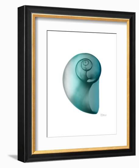 Water Snail 2-Albert Koetsier-Framed Art Print