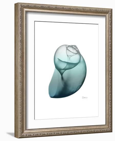 Water Snail 3-Albert Koetsier-Framed Premium Giclee Print