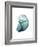 Water Snail 3-Albert Koetsier-Framed Premium Giclee Print