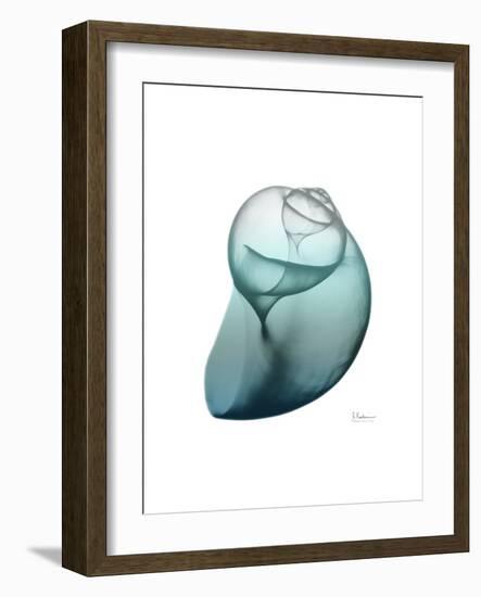 Water Snail 3-Albert Koetsier-Framed Premium Giclee Print