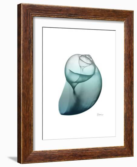 Water Snail 3-Albert Koetsier-Framed Premium Giclee Print