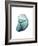 Water Snail 3-Albert Koetsier-Framed Premium Giclee Print