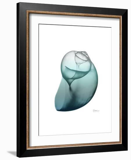 Water Snail 3-Albert Koetsier-Framed Premium Giclee Print