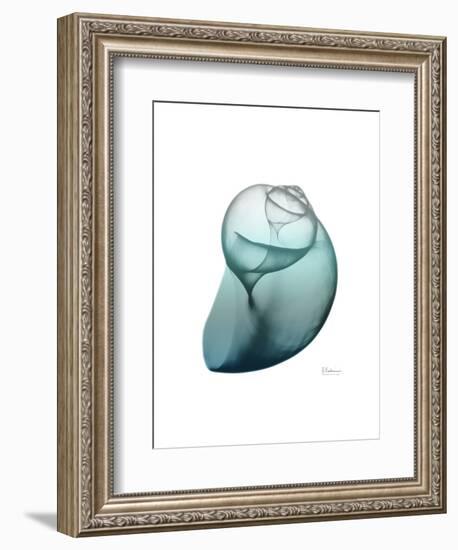 Water Snail 3-Albert Koetsier-Framed Art Print