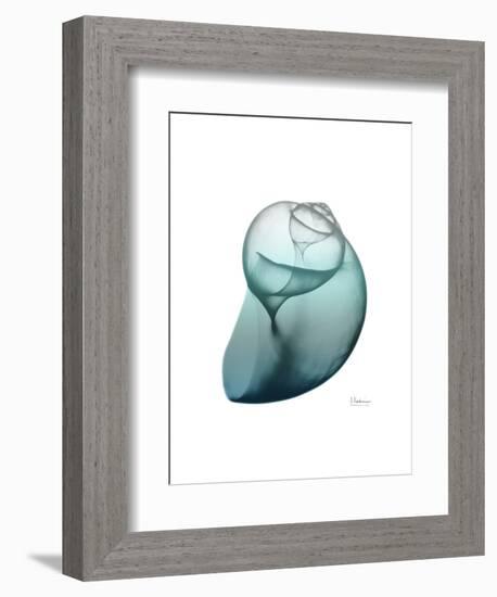 Water Snail 3-Albert Koetsier-Framed Art Print