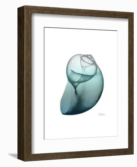 Water Snail 3-Albert Koetsier-Framed Art Print