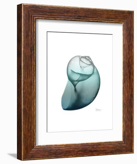 Water Snail 3-Albert Koetsier-Framed Art Print