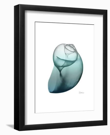 Water Snail 3-Albert Koetsier-Framed Art Print