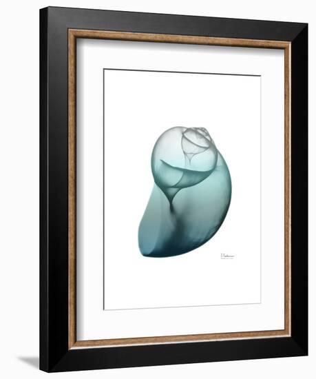 Water Snail 3-Albert Koetsier-Framed Art Print