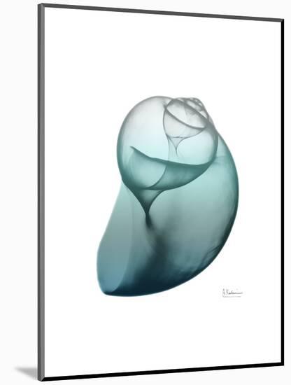 Water Snail 3-Albert Koetsier-Mounted Art Print