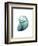 Water Snail 3-Albert Koetsier-Framed Art Print