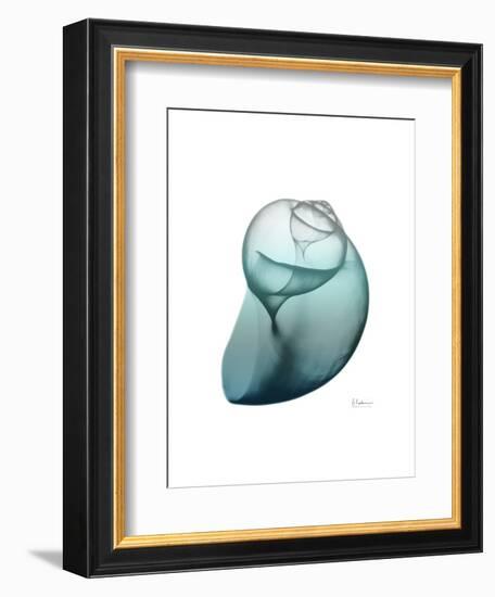 Water Snail 3-Albert Koetsier-Framed Art Print