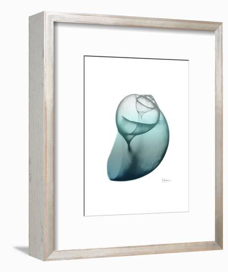 Water Snail 3-Albert Koetsier-Framed Art Print