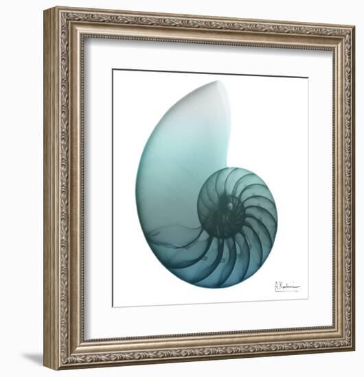 Water Snail 4-Albert Koetsier-Framed Art Print