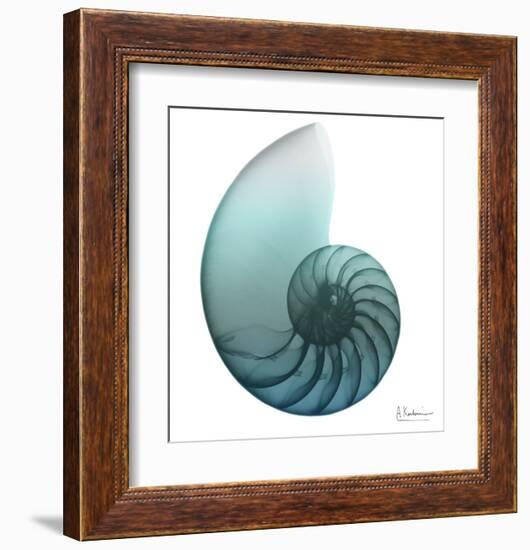 Water Snail 4-Albert Koetsier-Framed Art Print