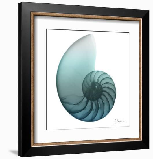 Water Snail 4-Albert Koetsier-Framed Art Print