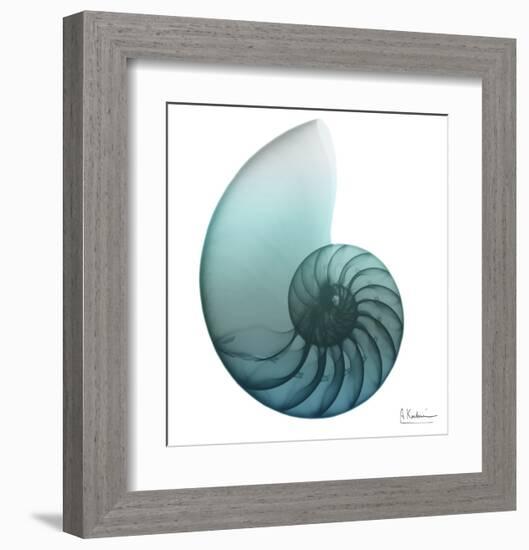 Water Snail 4-Albert Koetsier-Framed Art Print