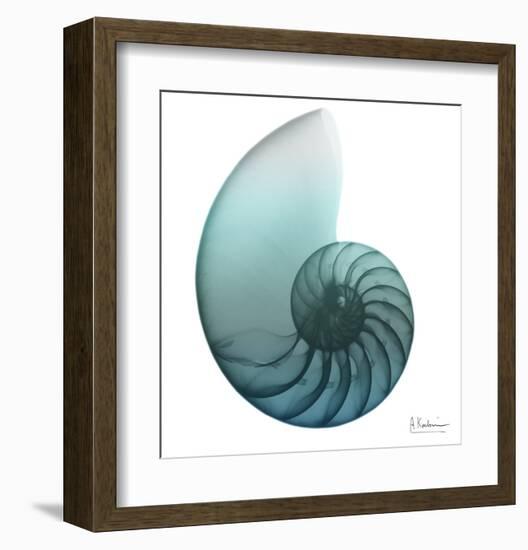 Water Snail 4-Albert Koetsier-Framed Art Print