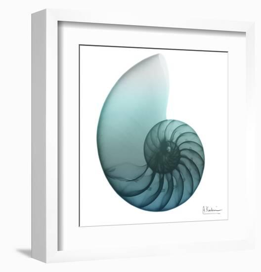 Water Snail 4-Albert Koetsier-Framed Art Print