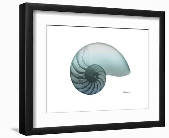 Water Snail 4-Albert Koetsier-Framed Premium Giclee Print