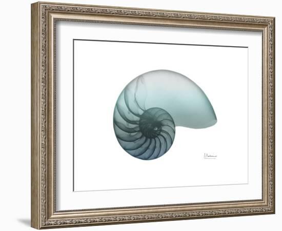 Water Snail 4-Albert Koetsier-Framed Art Print