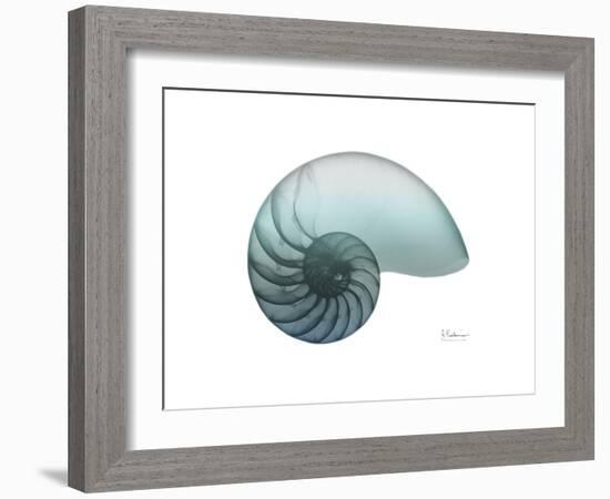 Water Snail 4-Albert Koetsier-Framed Art Print