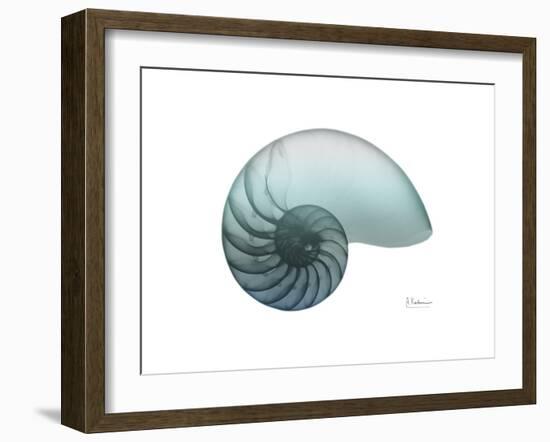 Water Snail 4-Albert Koetsier-Framed Art Print