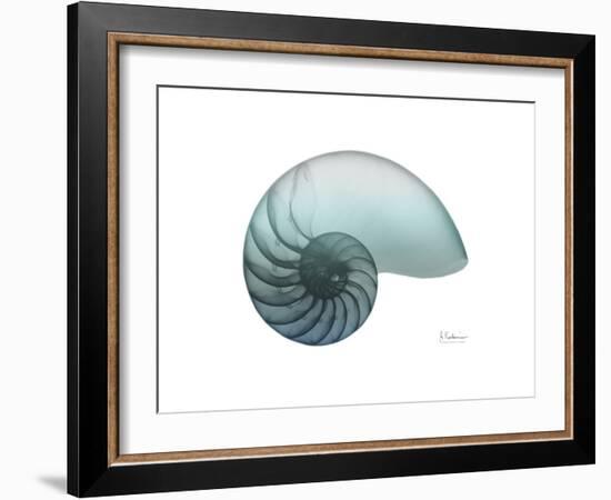 Water Snail 4-Albert Koetsier-Framed Art Print