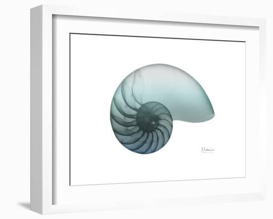 Water Snail 4-Albert Koetsier-Framed Art Print