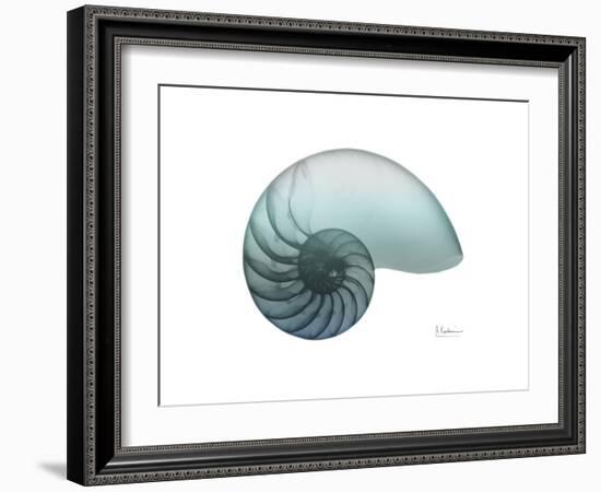 Water Snail 4-Albert Koetsier-Framed Art Print