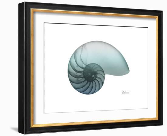 Water Snail 4-Albert Koetsier-Framed Art Print