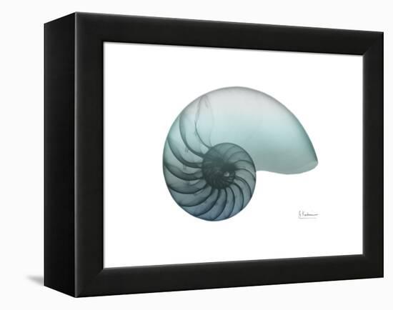 Water Snail 4-Albert Koetsier-Framed Stretched Canvas