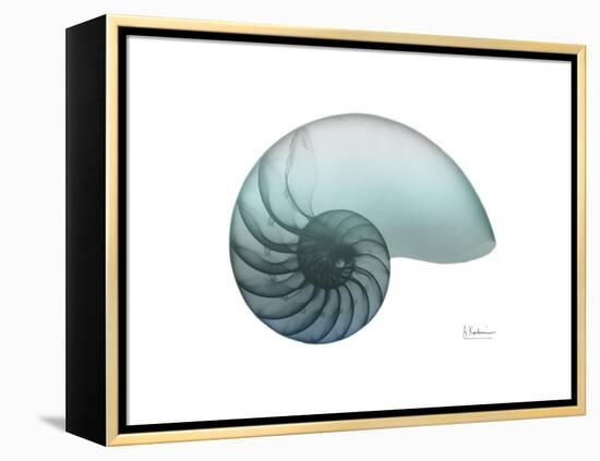 Water Snail 4-Albert Koetsier-Framed Stretched Canvas