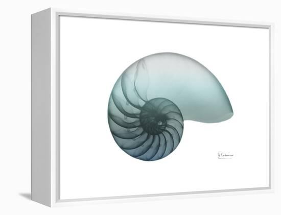 Water Snail 4-Albert Koetsier-Framed Stretched Canvas