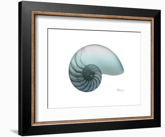 Water Snail 4-Albert Koetsier-Framed Art Print