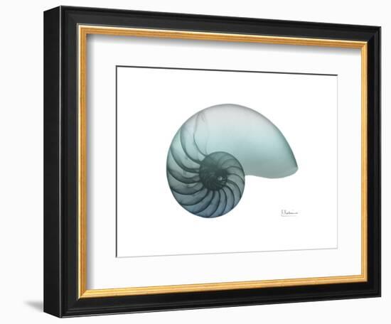 Water Snail 4-Albert Koetsier-Framed Art Print