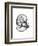 Water Snail Shell Gray-Albert Koetsier-Framed Premium Giclee Print