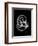 Water Snail Shell Xray-Albert Koetsier-Framed Premium Giclee Print