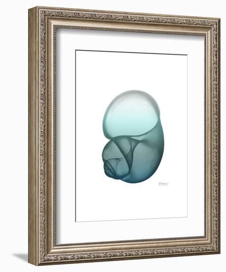 Water Snail-Albert Koetsier-Framed Art Print