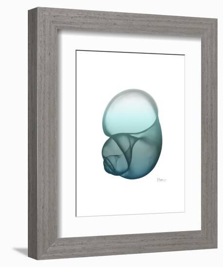 Water Snail-Albert Koetsier-Framed Art Print