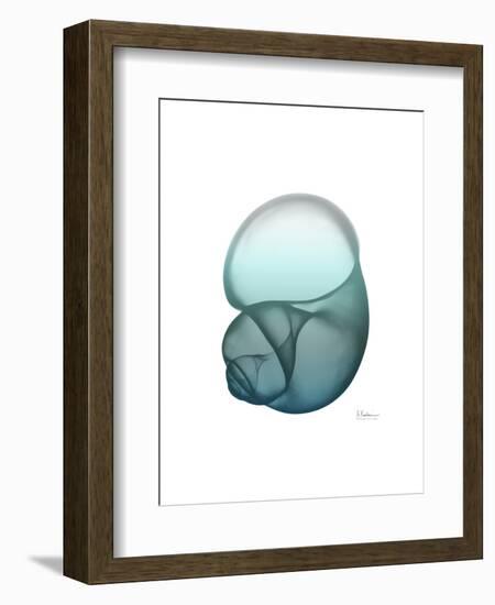 Water Snail-Albert Koetsier-Framed Art Print