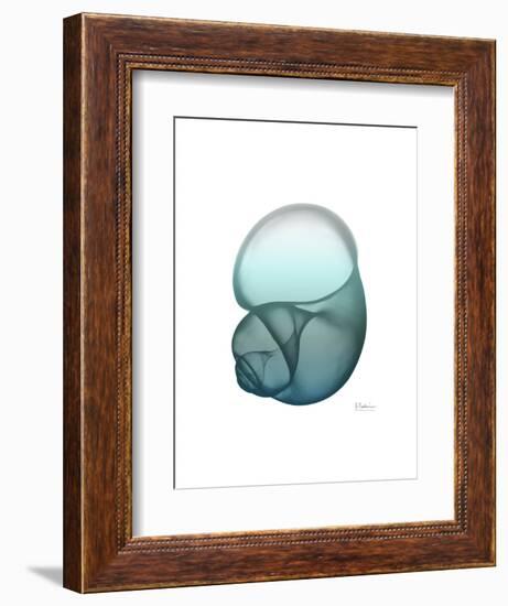 Water Snail-Albert Koetsier-Framed Art Print