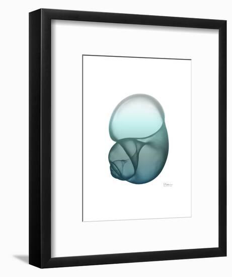 Water Snail-Albert Koetsier-Framed Art Print