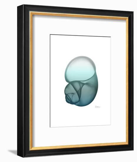 Water Snail-Albert Koetsier-Framed Art Print