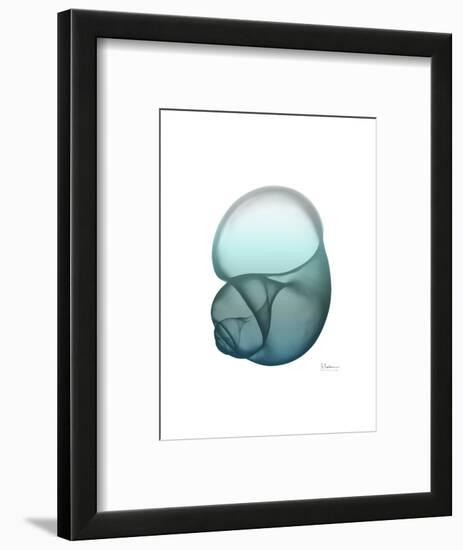 Water Snail-Albert Koetsier-Framed Art Print