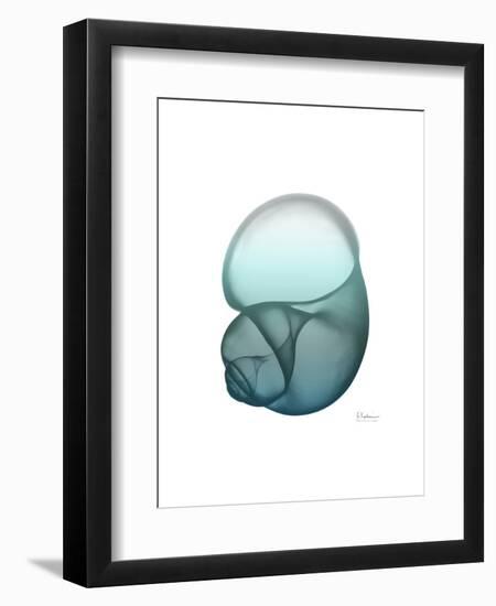 Water Snail-Albert Koetsier-Framed Art Print